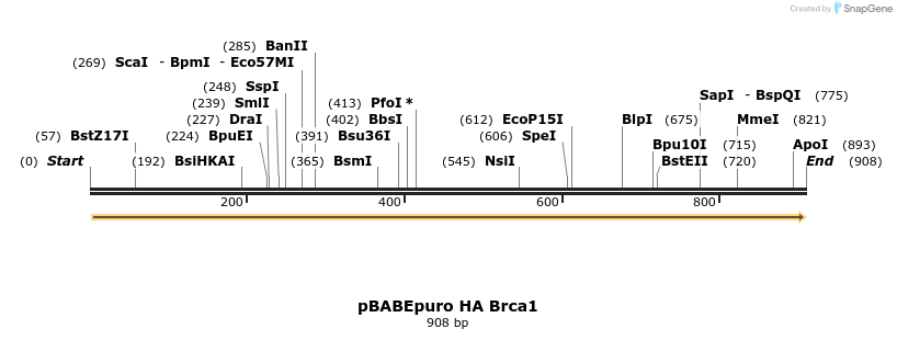 113717_map