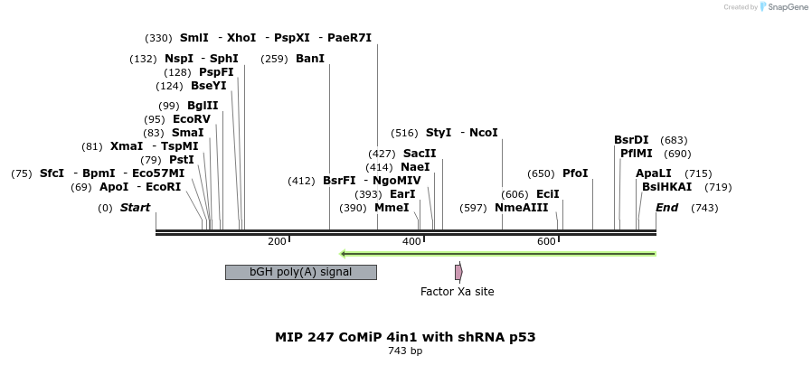 113723_map