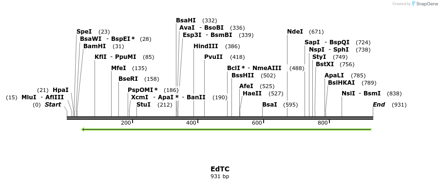 113726_map