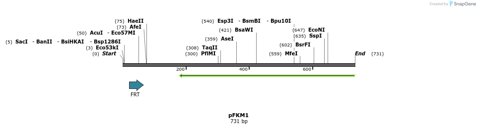 113735_map