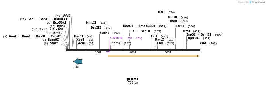113737_map