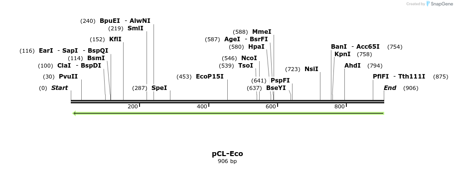 113744_map