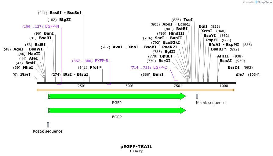 113745_map