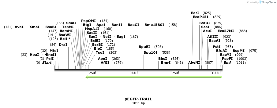 113746_map