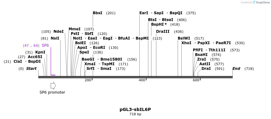 113756_map