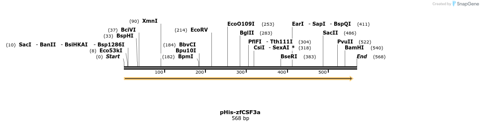 113762_map