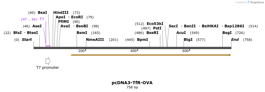 113764_map