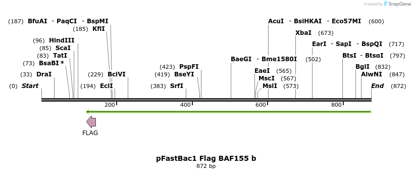 113775_map