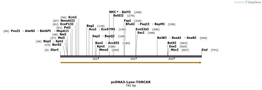 113779_map