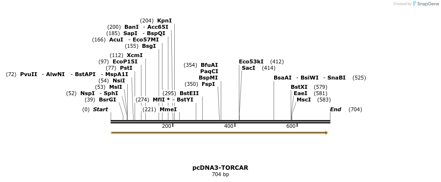 113786_map