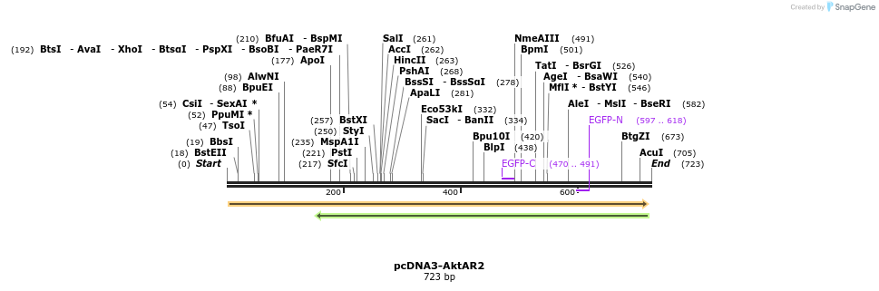 113794_map