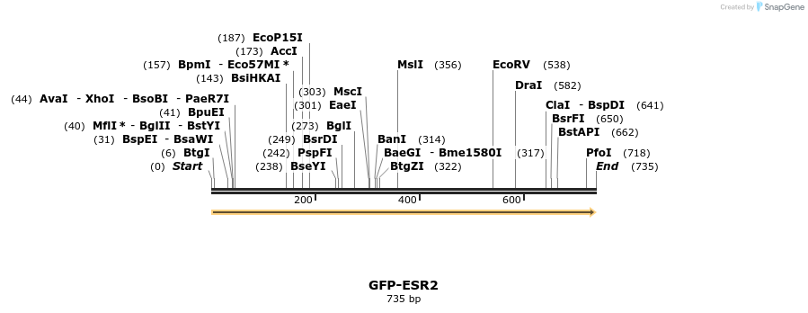 113803_map