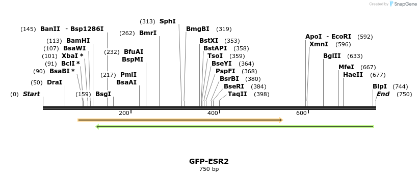 113804_map