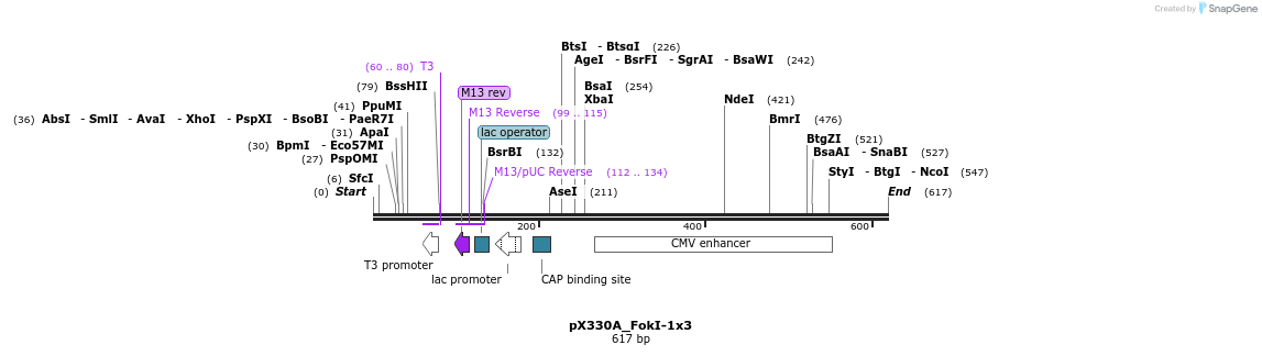 113813_map