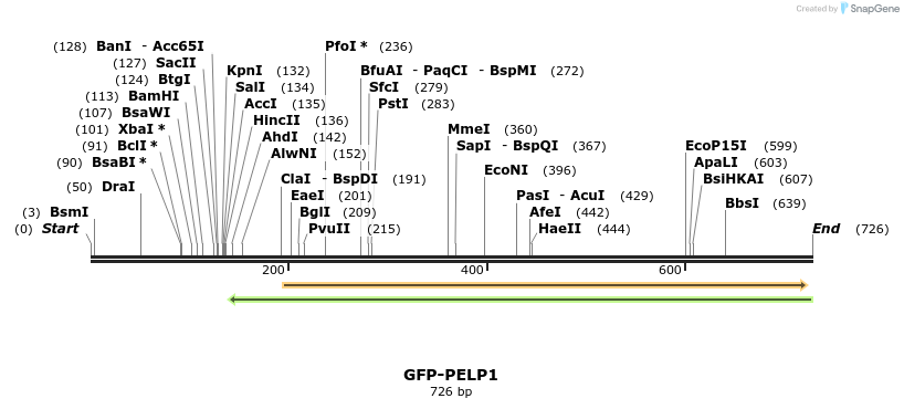 113823_map
