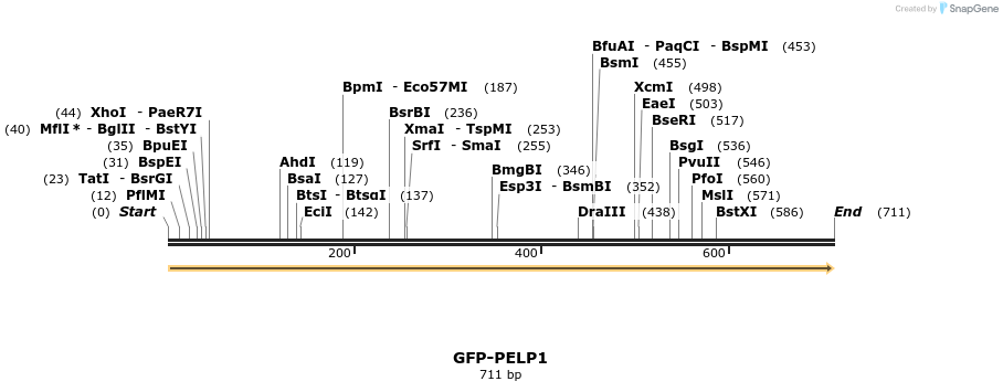113824_map