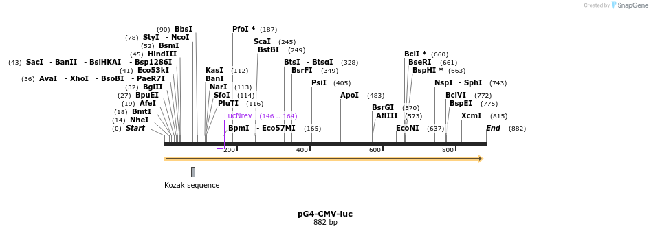 113827_map