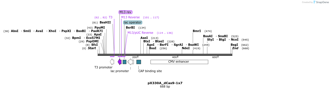 113841_map
