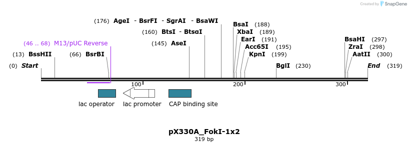 113847_map