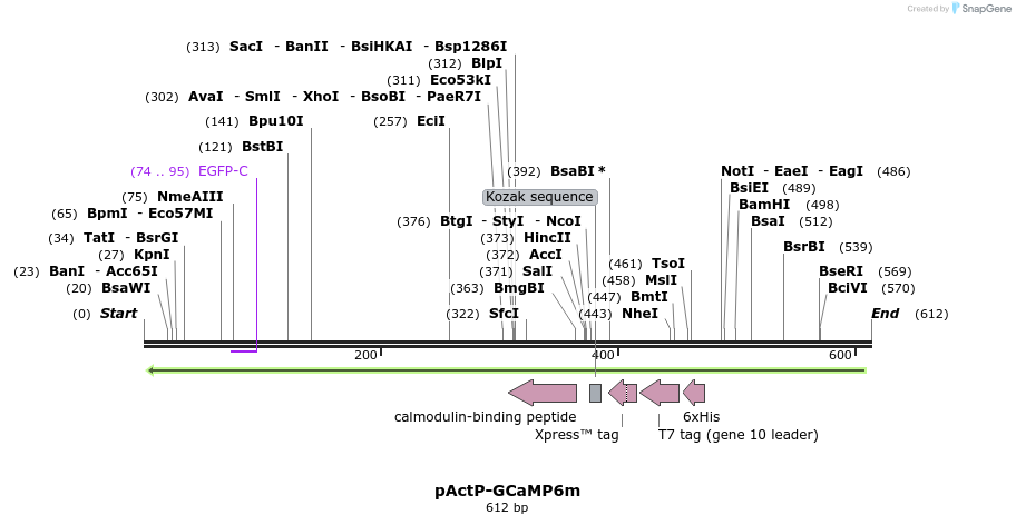 113855_map