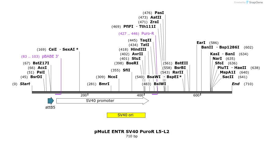 113875_map