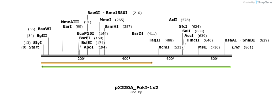 113878_map