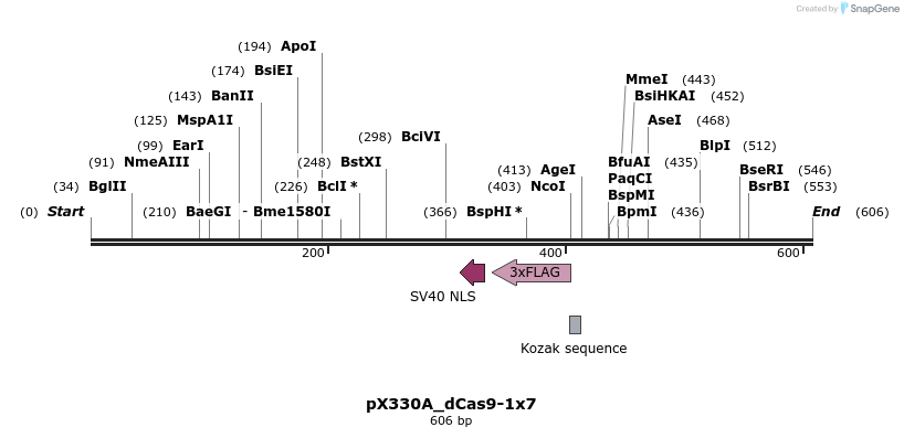 113882_map