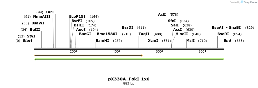 113885_map