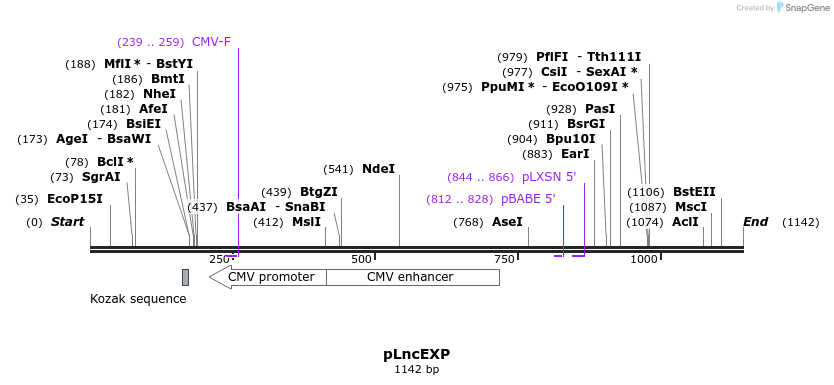 113894_map