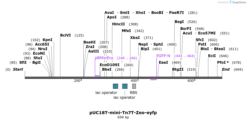 113898_map