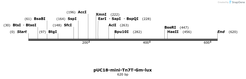 113903_map