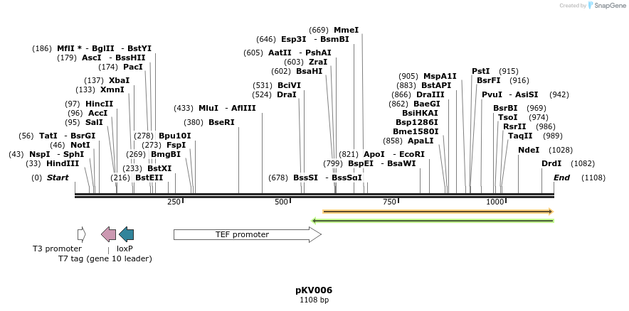 113904_map
