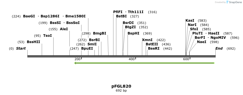 113909_map