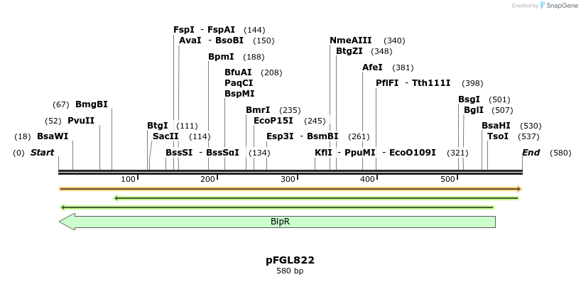 113911_map