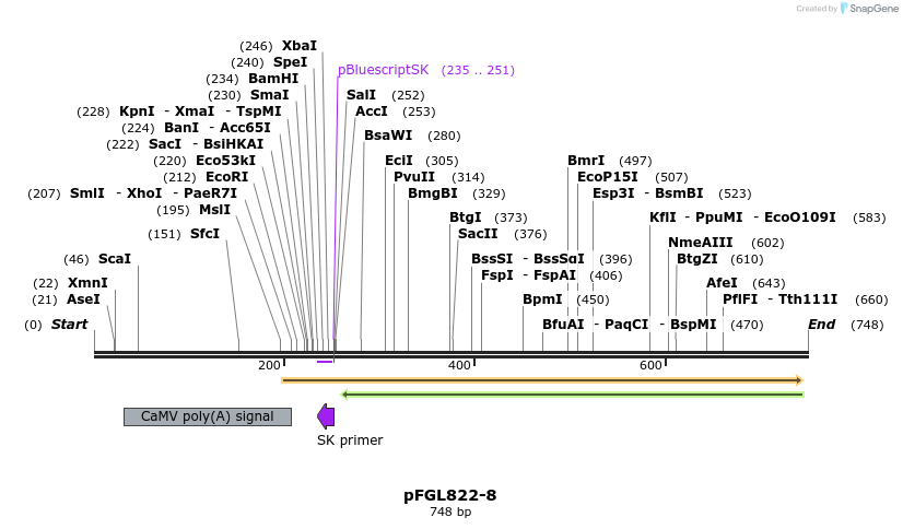 113919_map