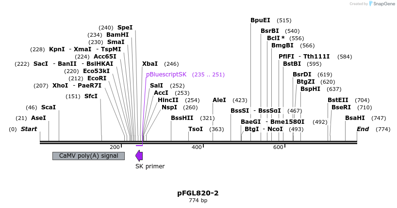 113921_map