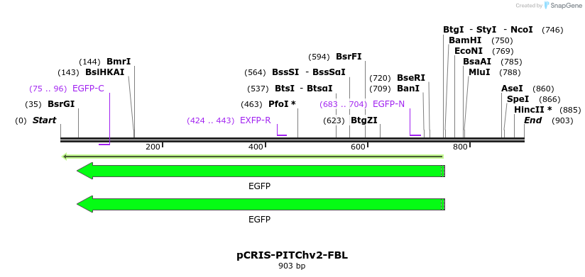 113925_map