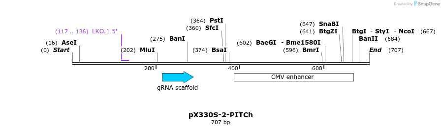 113930_map