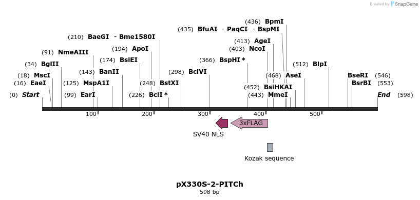113933_map