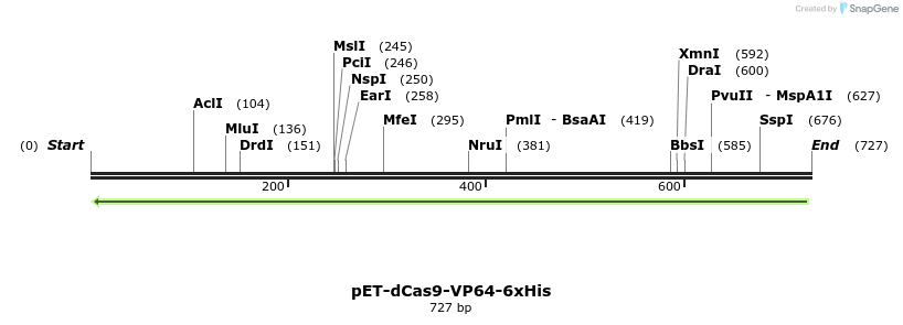 113936_map