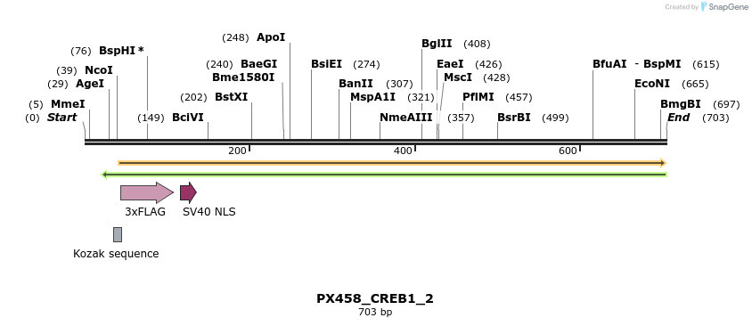 113939_map