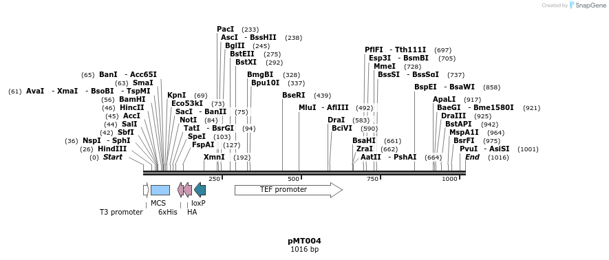 113941_map