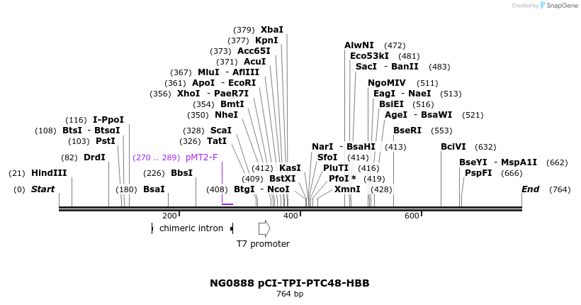 113945_map
