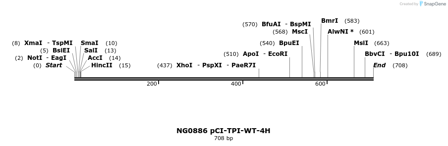 113960_map