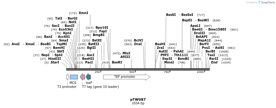 113965_map