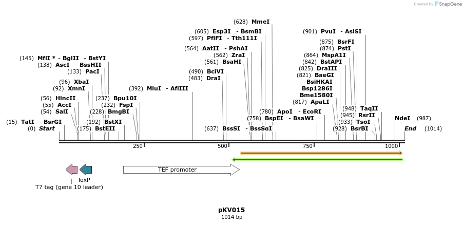 113968_map