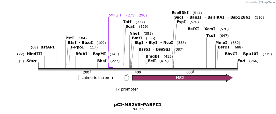 113974_map