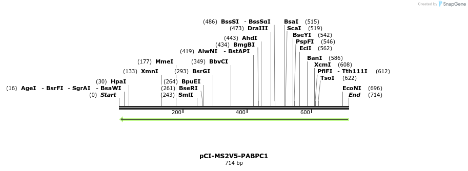 113975_map