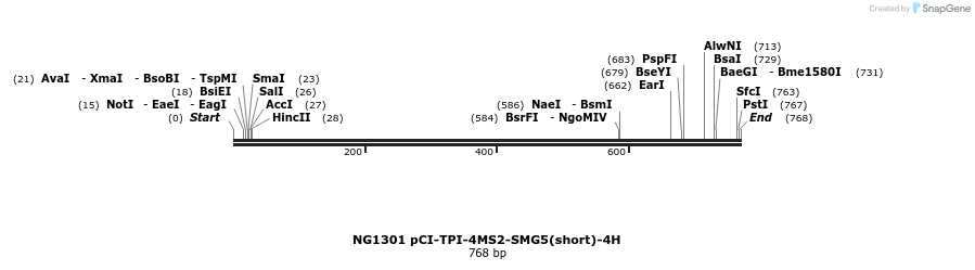 113977_map