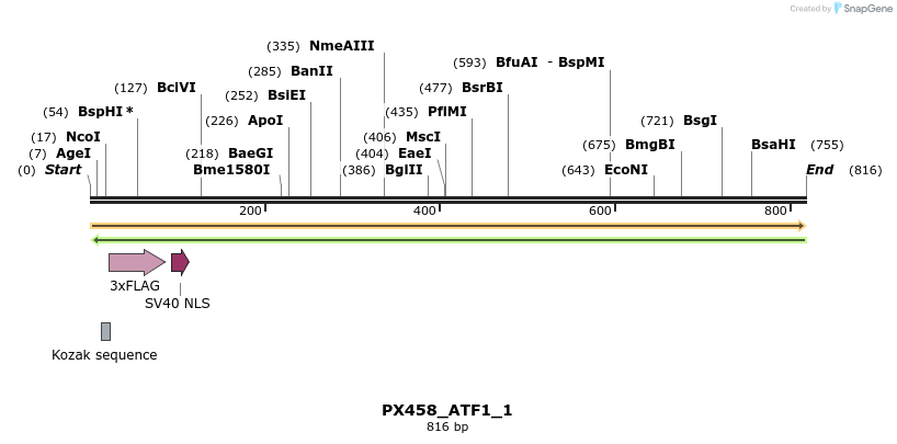 113978_map